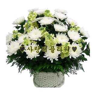 흰국화바구니