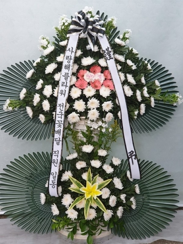 상세이미지