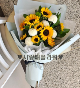해바라기3
