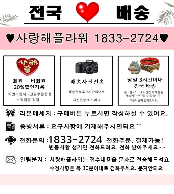 상세이미지