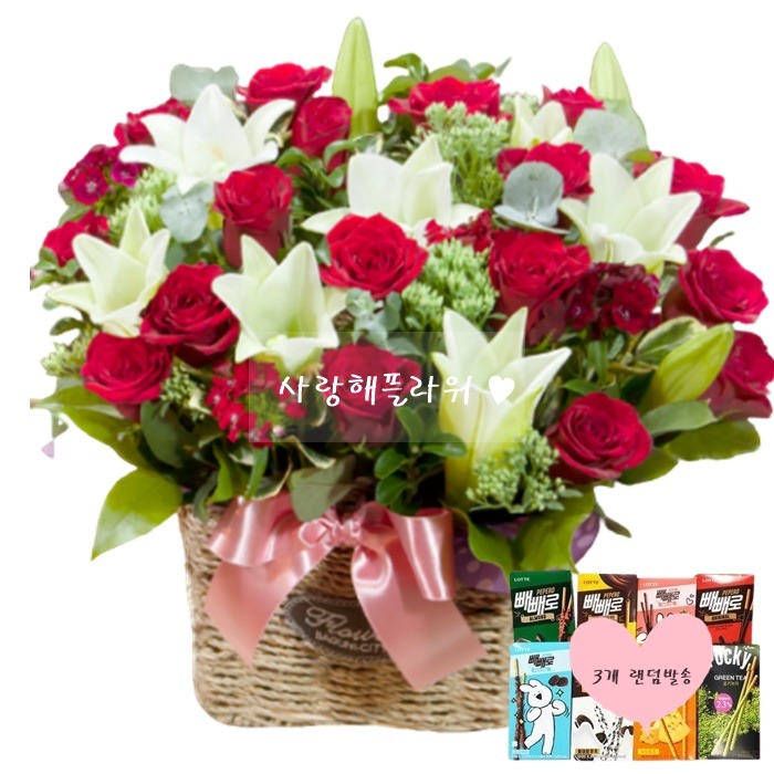 상세이미지