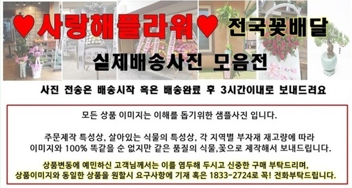 상세이미지