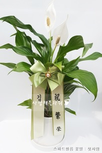 수도권 스파트필름 30이상