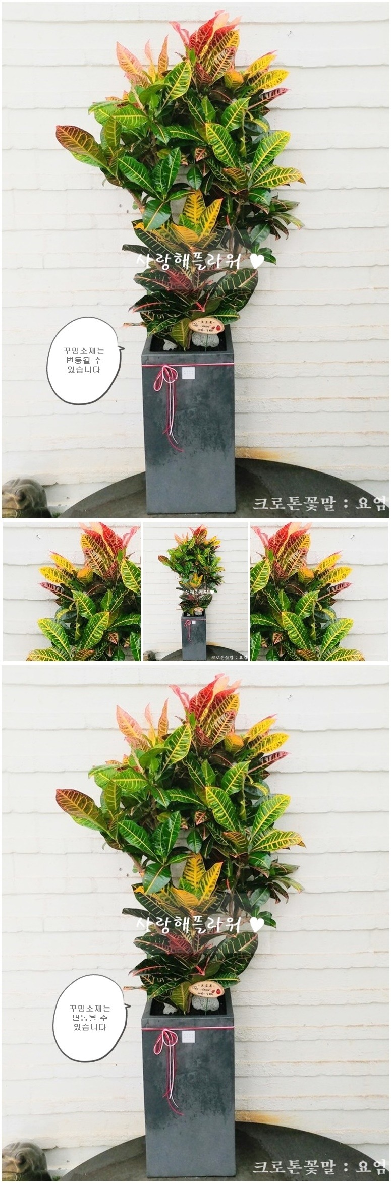 상세이미지