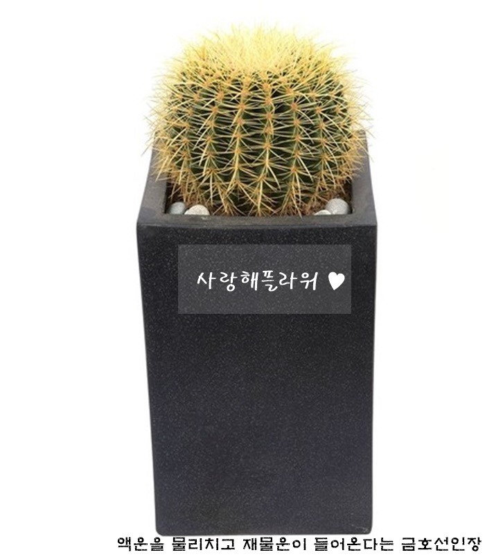 상세이미지