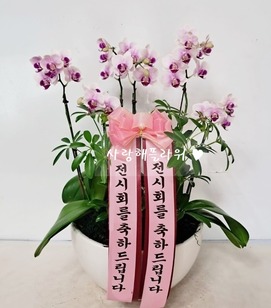 6.리틀잼 대형