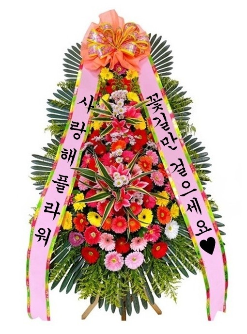 상세이미지