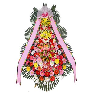축하3단 523