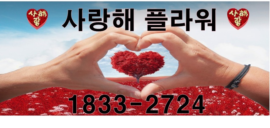 상세이미지