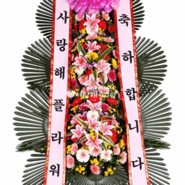 ★초특가 축하3단★새꽃사용★