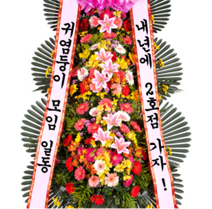 축하3단화환(꽃축복1호)