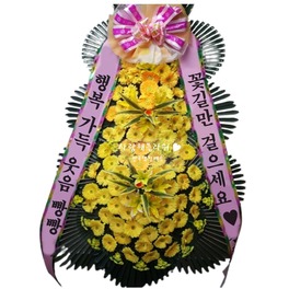 나비 축하3단