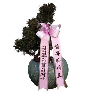승진축하