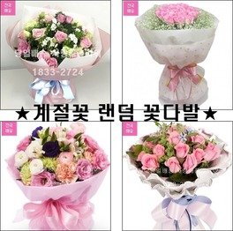 초특가★핑크장미 혼합꽃다발★