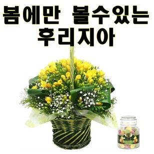 사탕+후리지아 바구니