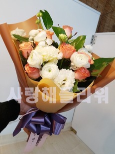 오렌지향