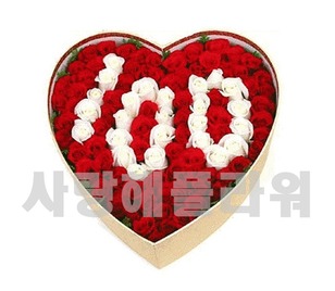 100년의사랑 100송이