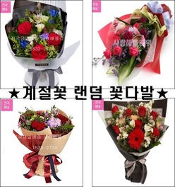 초특가★빨간장미 혼합꽃다발★