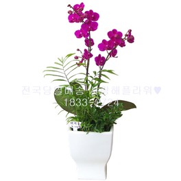 2.테이블형 만천홍