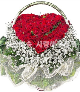 죽도록사랑해 100송이