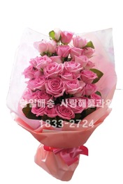 시크릿가든
