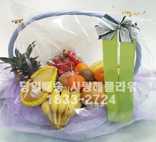 과일바구니 QW