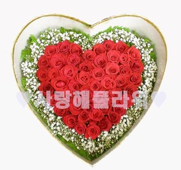 감동 50/60/70 꽃박스