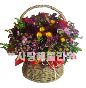 진정한가을 소국바구니
