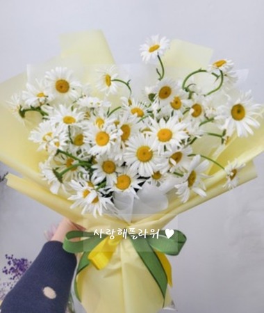 귀여운 데이지꽃다발