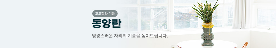 동양란